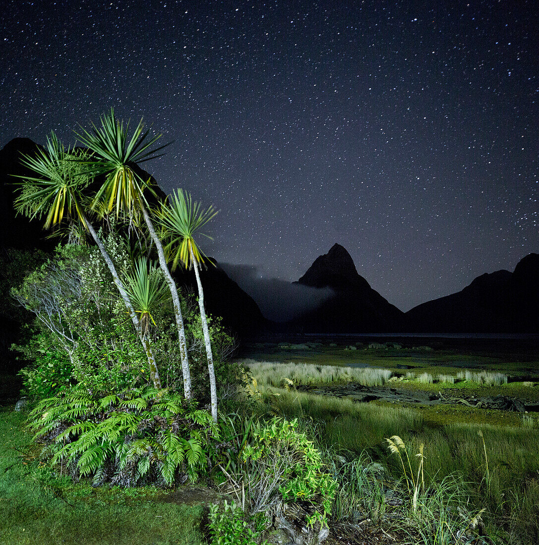 Milford Sound bei Nacht, Fiordland Nationalpark, Southland, Südinsel, Neuseeland