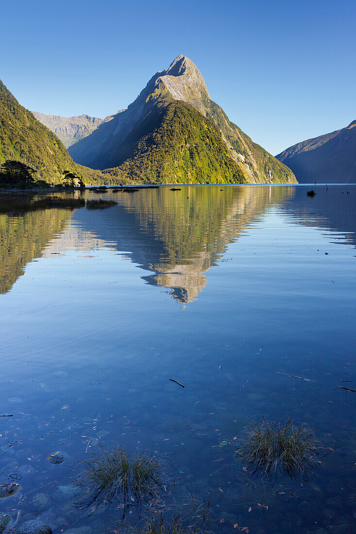 Milford Sound with reflection, Fiordland National Park, Southland, South Island, New Zealand