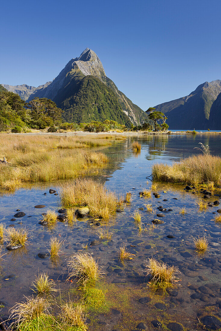 Milford Sound, Fiordland National Park, Southland, South Island, New Zealand