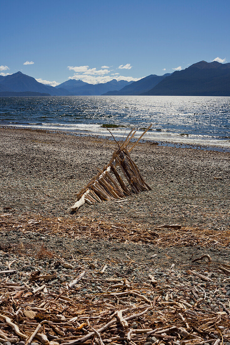 Lake Te Anau with driftwood, Southland, South Island, New Zealand