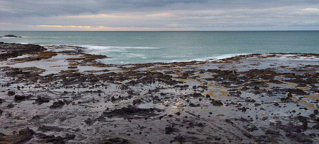 Petrified Forest, Curio Bay, Catlins, Southland, Südinsel, Neuseeland