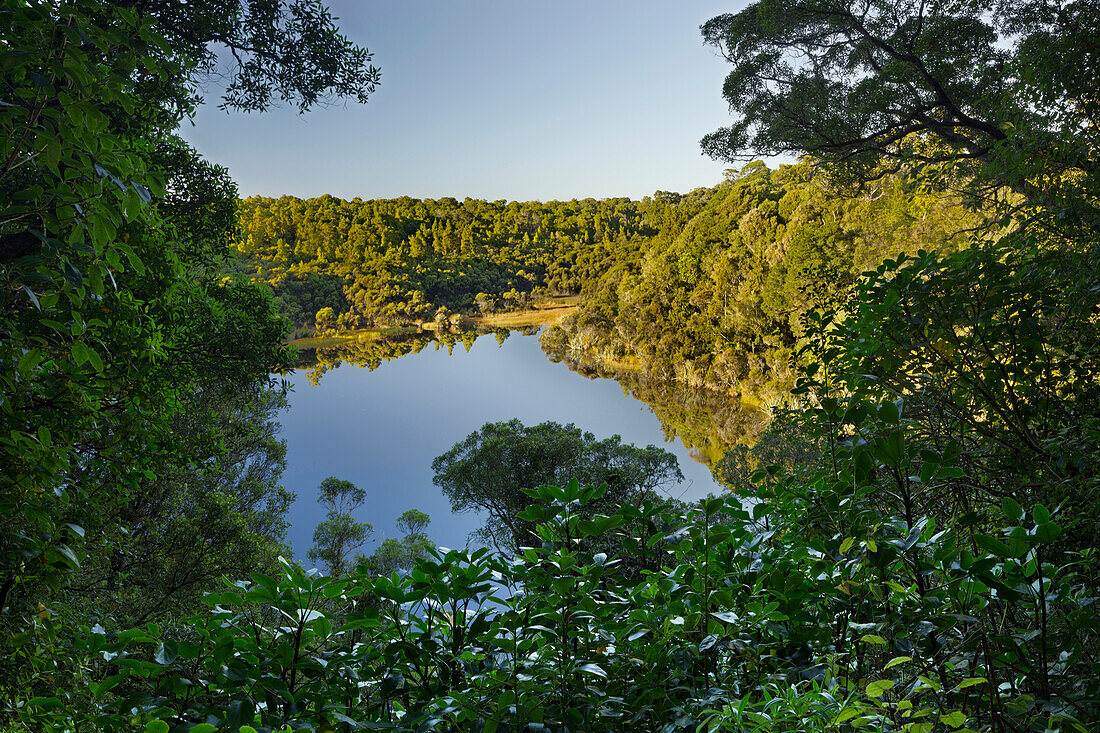 Lake Wilkie, Catlins, Otago, Südinsel, Neuseeland