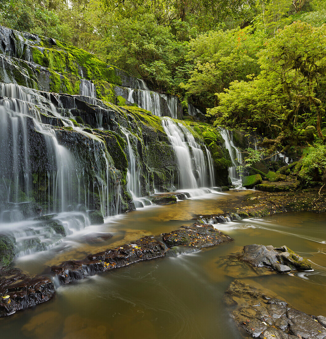 Purakanui Falls, Catlins, Otago, South Island, New Zealand
