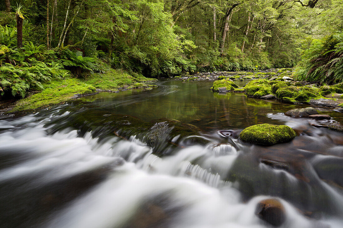 Catlins River, Southland, South Island, New Zealand