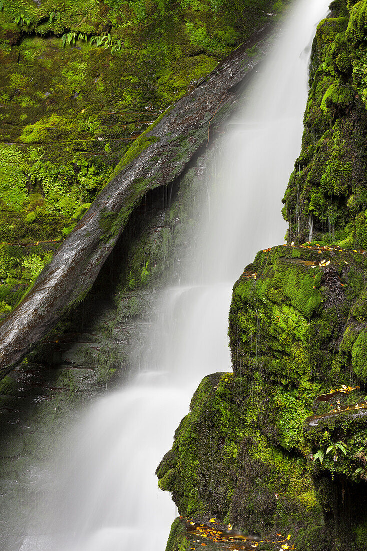 Lower McLean Falls, Catlins, Southland Südinsel, Neuseeland