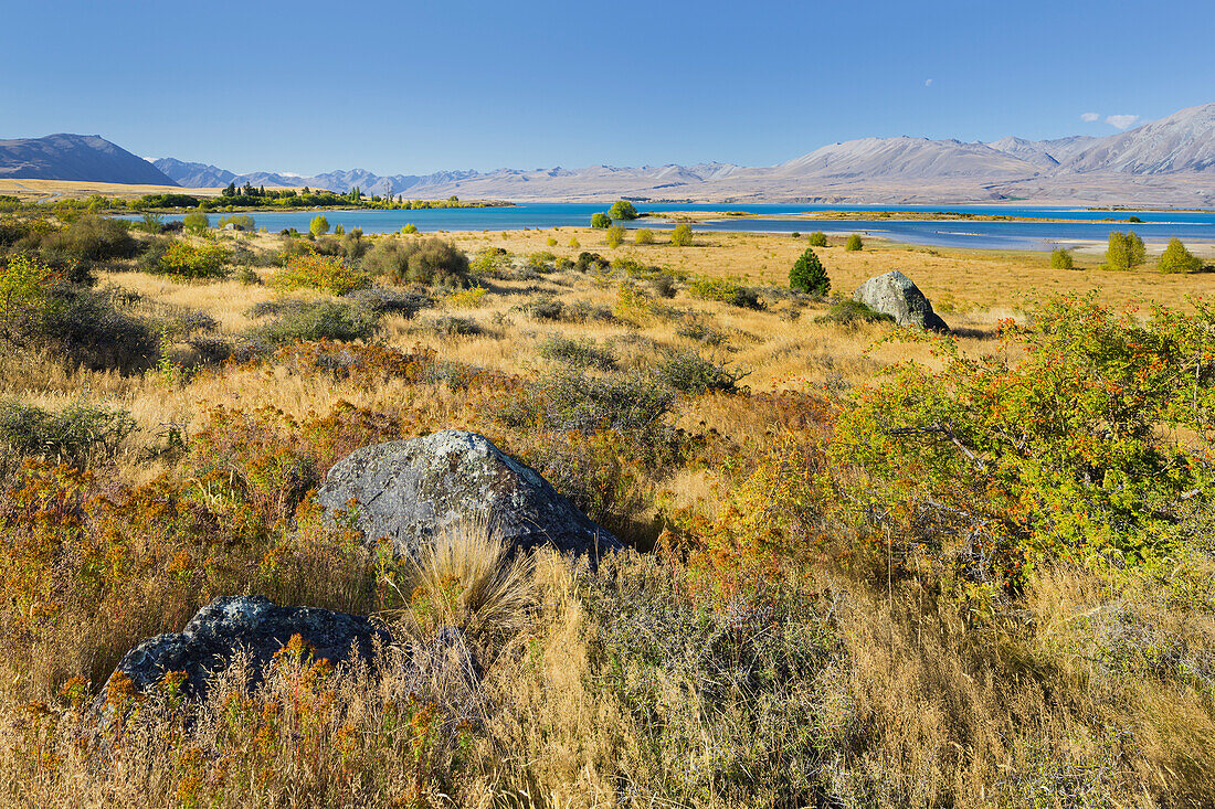 Lake Tekapo, Canterbury, South Island, New Zealand