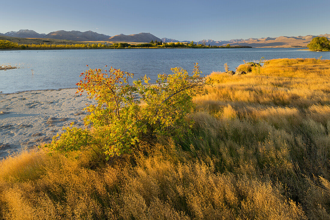 Lake Tekapo, Canterbury, Südinsel, Neuseeland