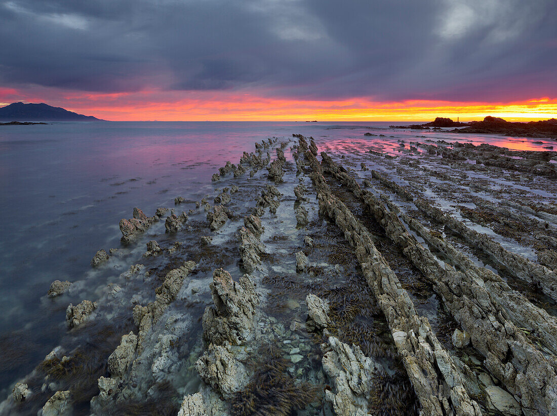 Gesteinsformationen, Kaikoura Halbinsel, Manakau Berge, Canterbury, Südinsel, Neuseeland