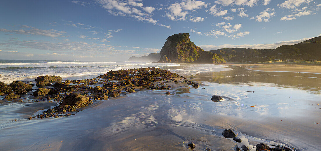 Lion Rock, Piha, Auckland, North Island, New Zealand