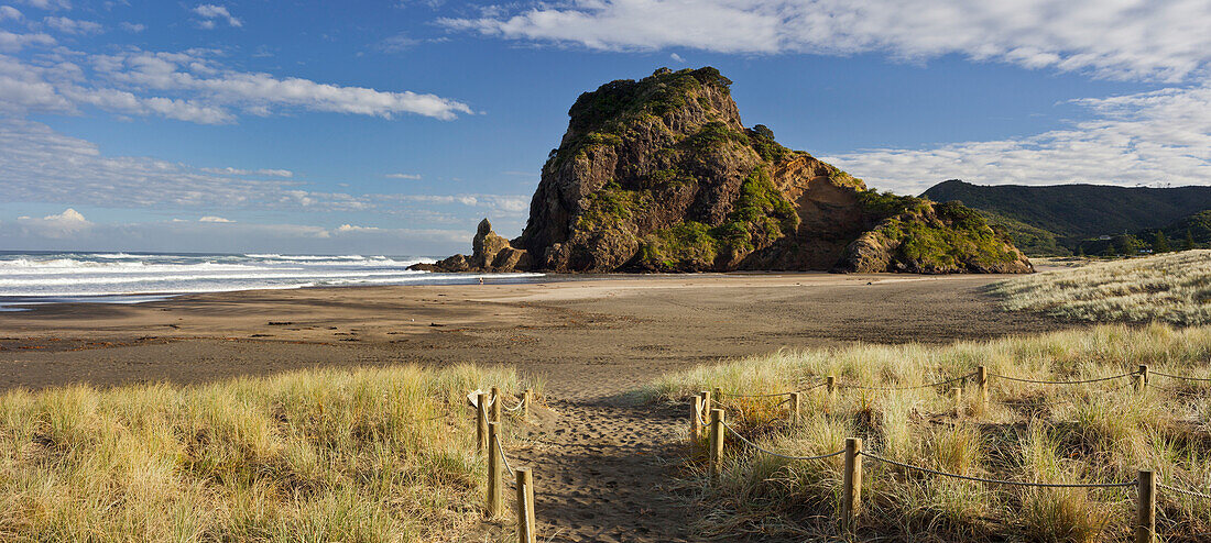Lion Rock, Piha, Auckland, North Island, New Zealand