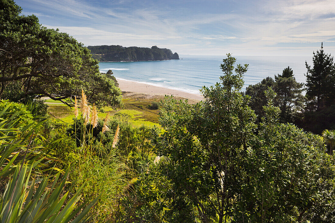 Hot Water Beach, Coromadel Peninsula, Waikato, Nordinsel, Neuseeland