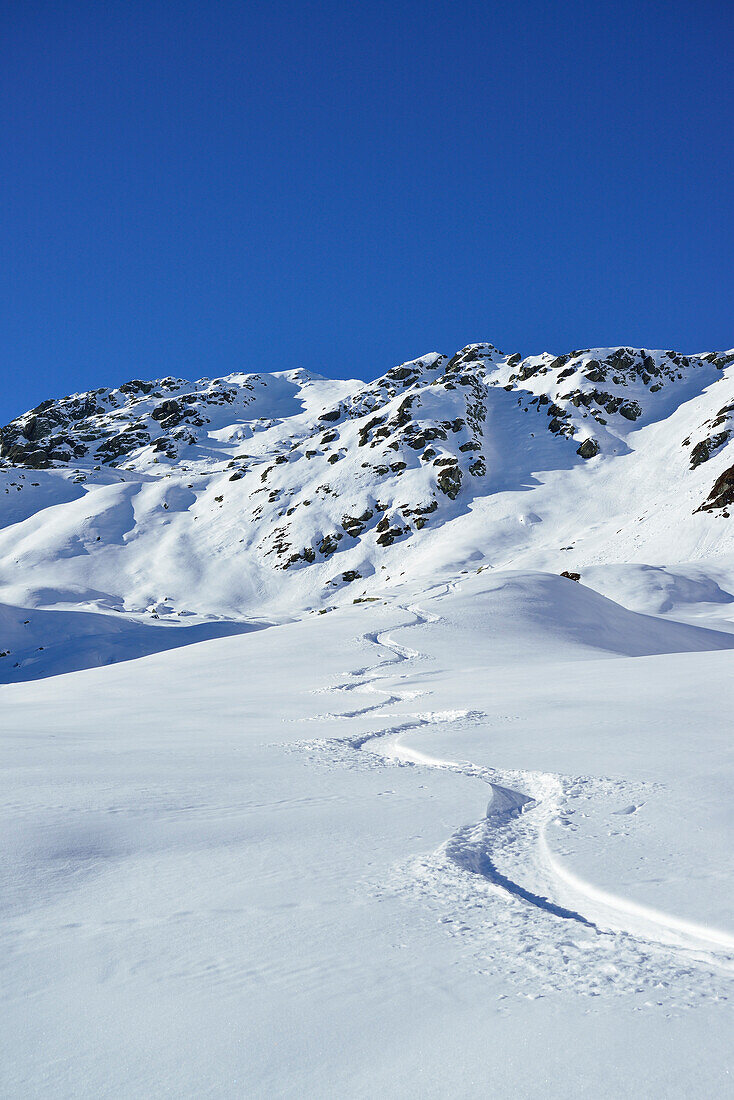 Tracks in powder snow, Kroendlhorn, Kitzbuehel Alps, Tyrol, Austria