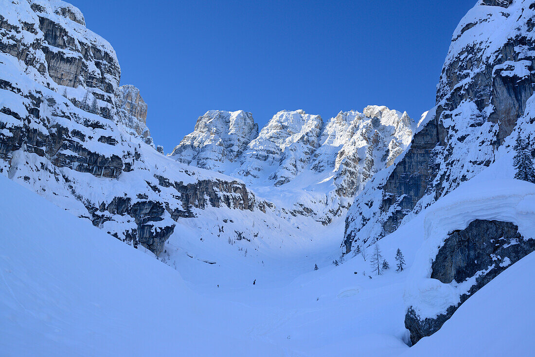 Enges Tal unter Piz Popena und Monte Cristallo, Cristallo, Dolomiten, Belluno, Venetien, Italien