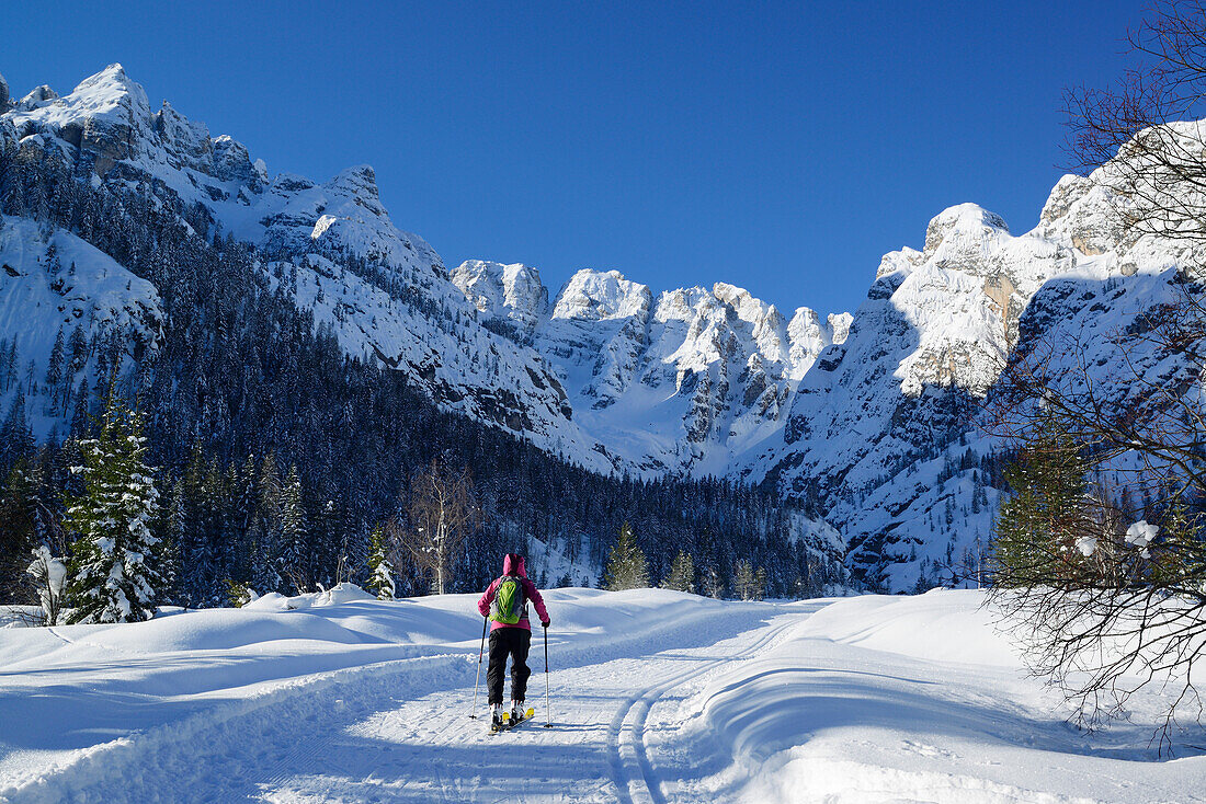 Skitourengeherin steigt zur Cristallo Scharte auf, Cristallo, Dolomiten, Belluno, Venetien, Italien