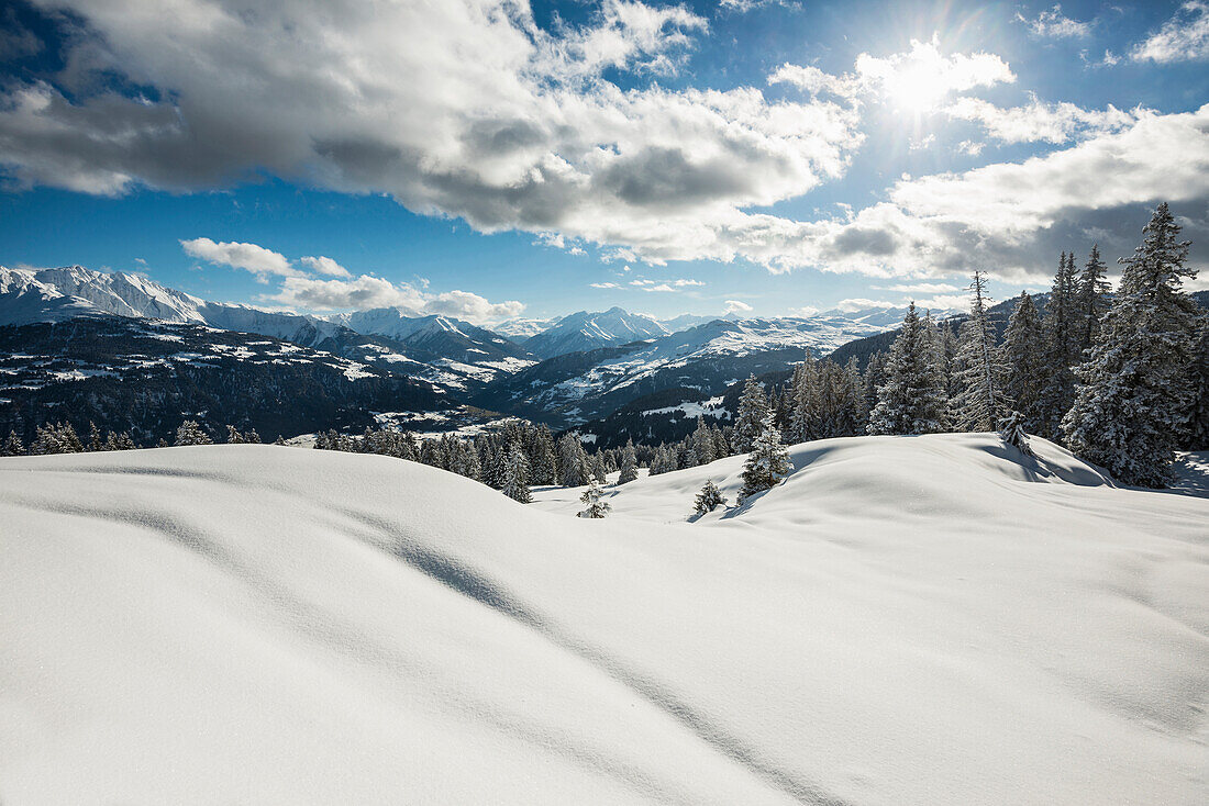 Winterlandschaft bei Flims Laax und Rheintal, Kanton Graubünden, Schweiz