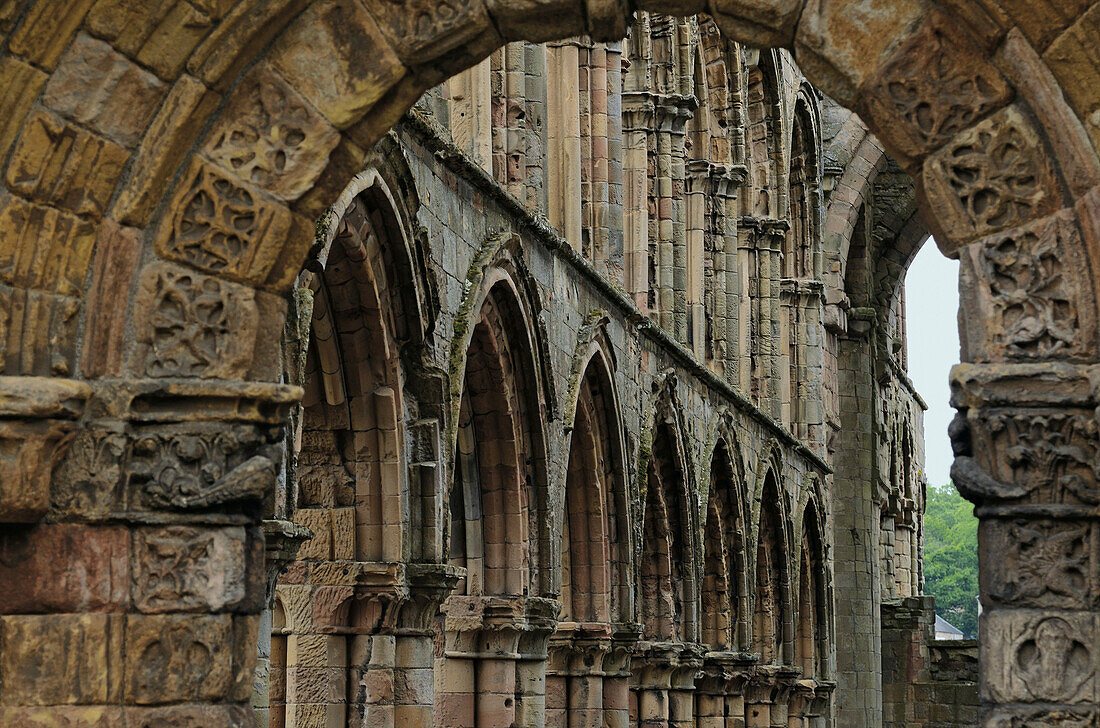 Ruins of Jedburgh Abbey, Jedburgh, Scottish Borders, Scotland, Great Britain