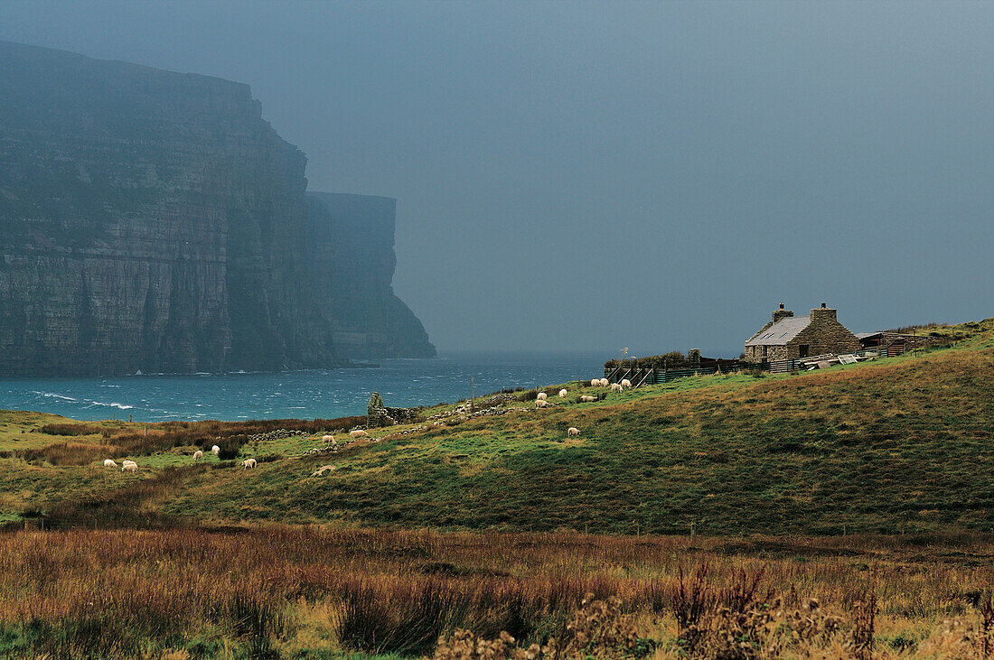 Haus in der Bay of Rackwick, Hoy, Orkney Inseln, Schottland, Großbritannien