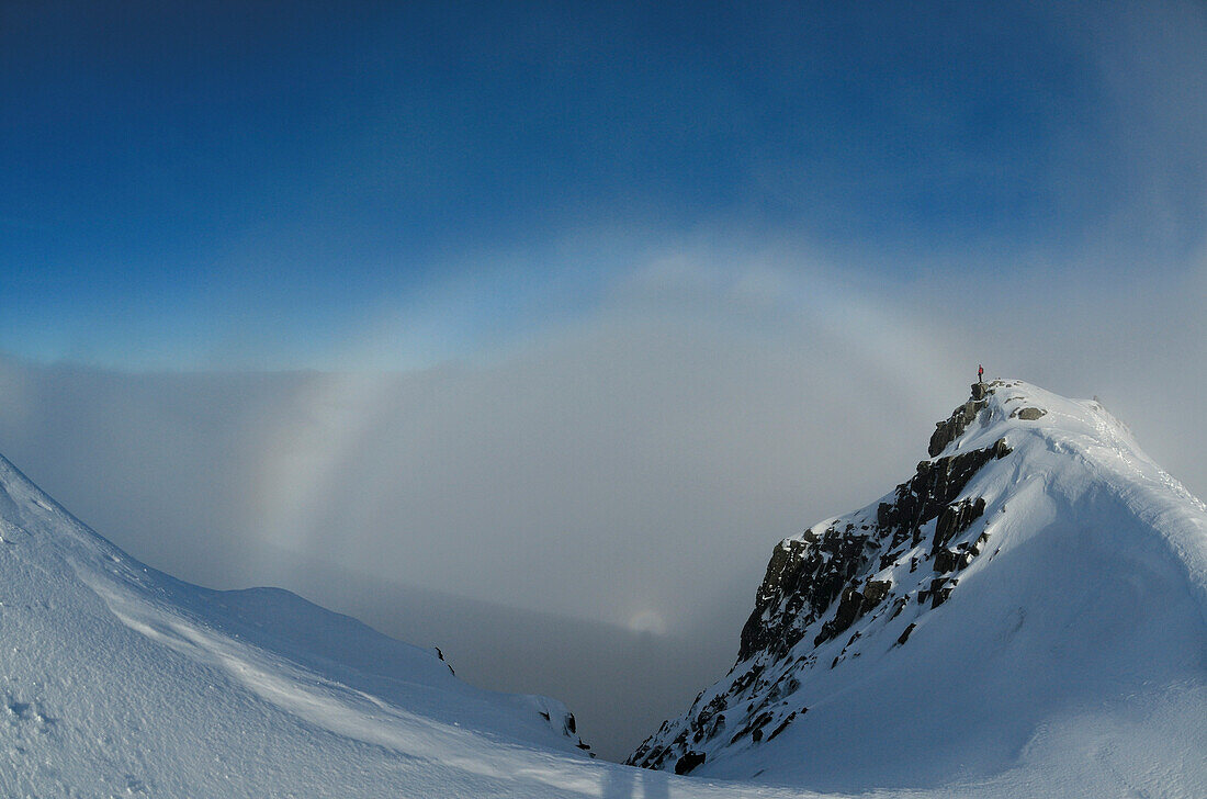 Halo, Ben Nevis, Grampian Mountains, Highlands, Scotland, Great Britain