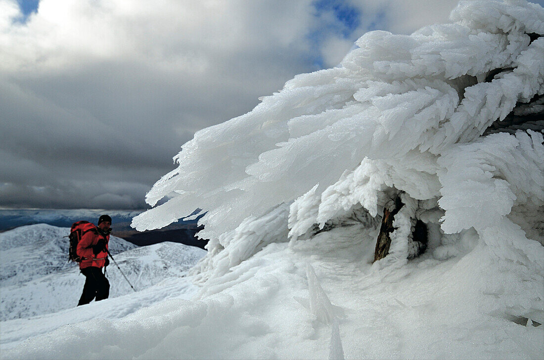 Bergwander beim Aufstieg im Schnee, Beinn Dearg, Highlands, Schottland, Großbritannien