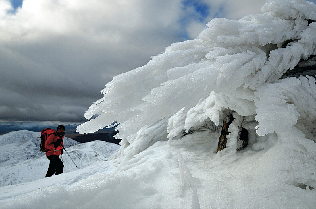 Hiker ascending in snow, Beinn Dearg, Highlands, Scotland, Great Britain