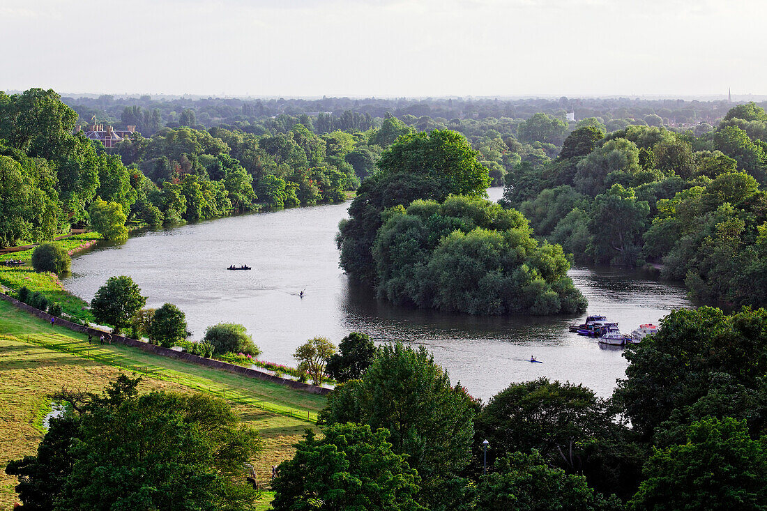 Blick von Terrace Gardens auf die Themse mit Glover's Island, Richmond upon Thames, Surrey, England, Vereinigtes Königreich