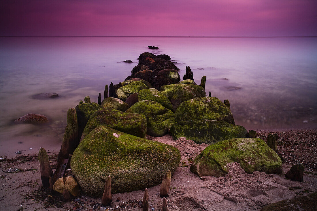 Groynes and moss covered stones in the morning light, Buelk, Strande, Kiel Fjord, Schleswig-Holstein, Germany