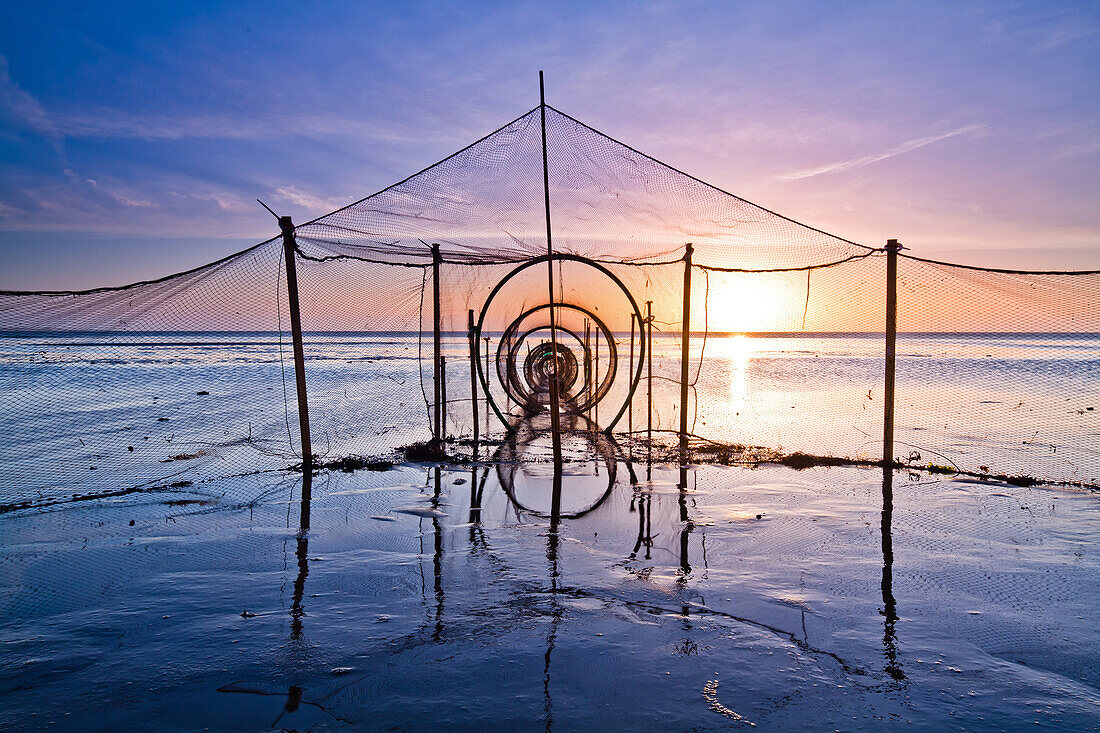 Fishing net at sunset, weir, North sea, Kampen, Sylt, Schleswig-Holstein, Germany