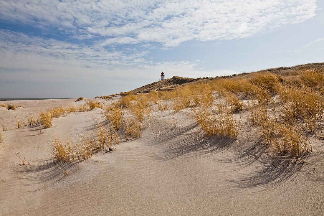 List lighthouse behind dunes, North sea, List, Sylt, Schleswig-Holstein, Germany