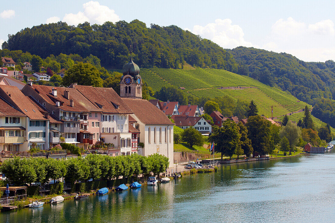 Blick auf Eglisau und Weinberge am Rhein, Hochrhein, Kanton Zürich, Schweiz, Europa