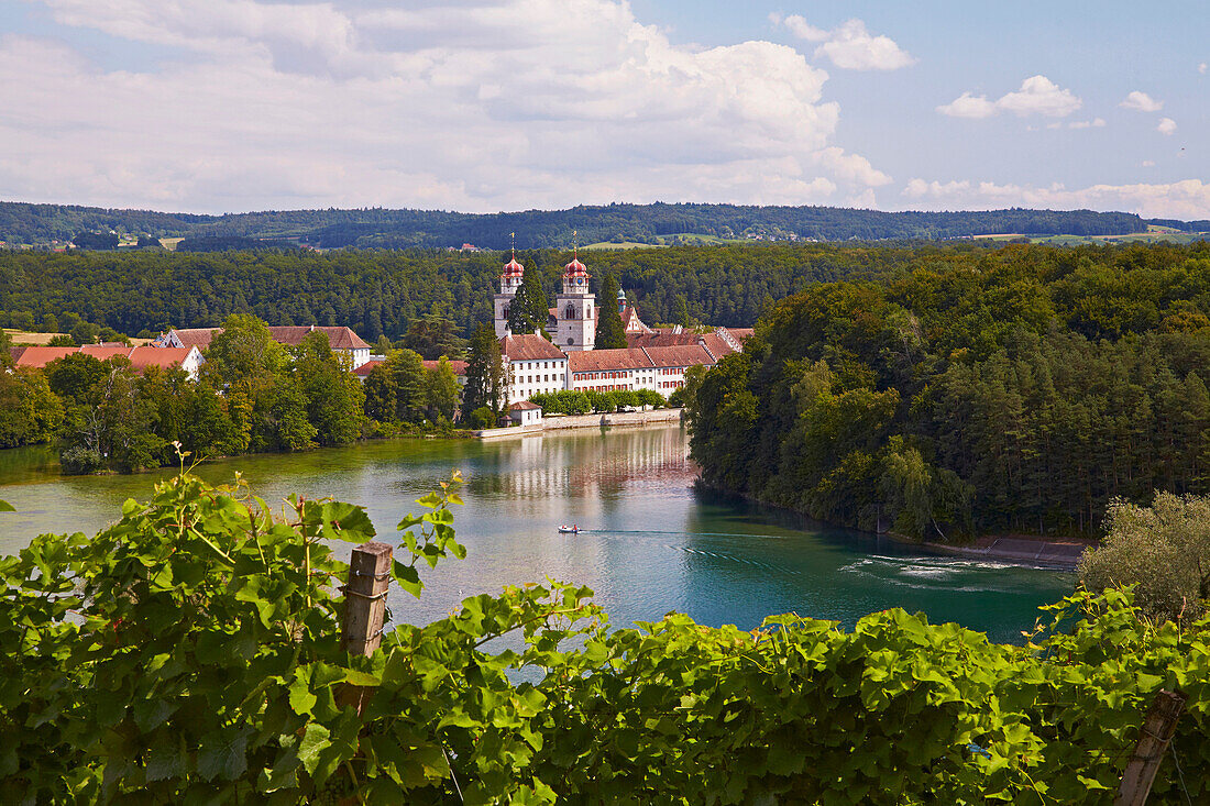 Kloster Rheinau und Weinberge am Rhein, Hochrhein, Kanton Zürich, Schweiz, Europa