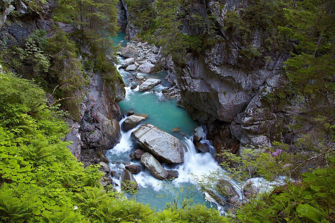 Blick in die Rofflaschlucht, Rhein, Hinterrhein, Andeer, Kanton Graubünden, Schweiz, Europa