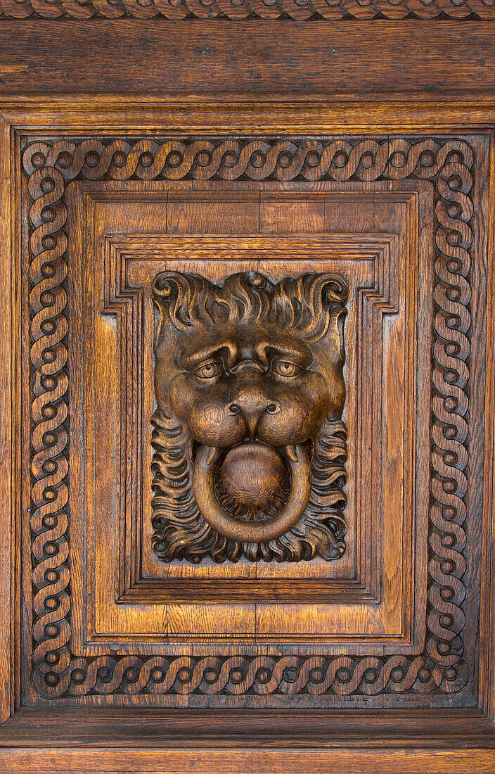Wood Lion Face, Prague, Czech Republic