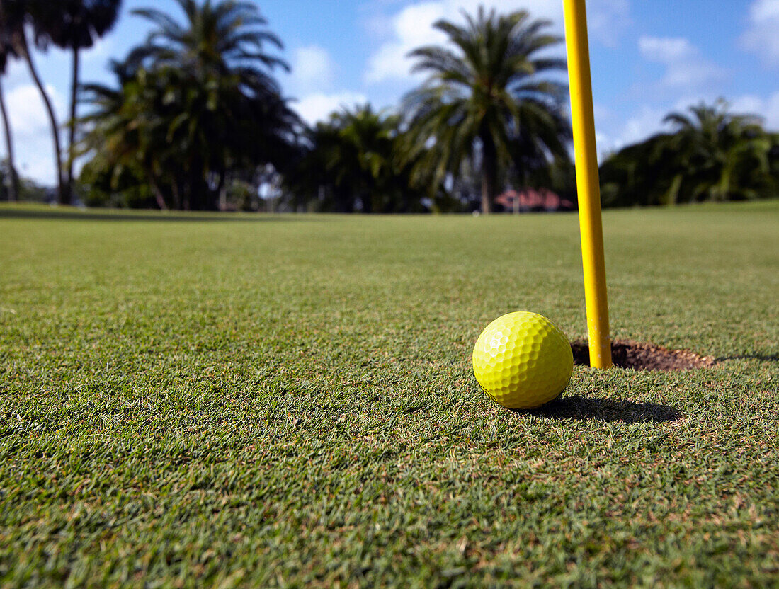 Golf Ball Lying Next to the Hole, Bradenton, Florida, USA