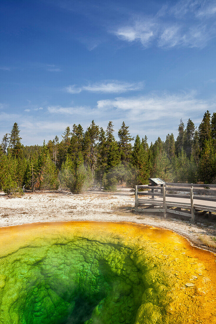 Colorful geyser, Yellowstone National Park, Wyoming, United States, Wyoming, Wyoming, USA