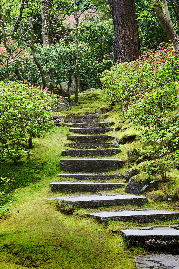 Stone steps in Japanese Garden, Portland, Oregon, United States, Portland, Oregon, USA