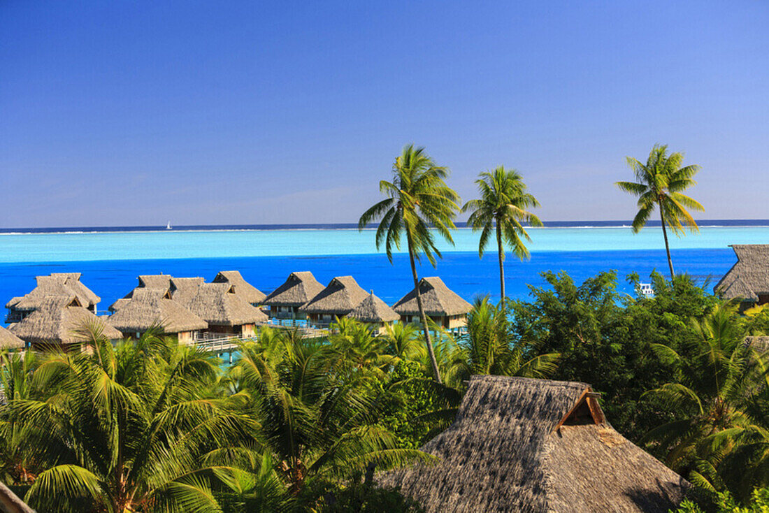 Palm trees overlooking tropical resort, Bora Bora, French Polynesia, Bora Bora, Bora Bora, French Polynesia