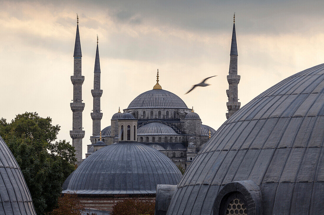 Domes and towers of Blue Mosque, Istanbul, Turkey, Istanbul, Turkey, Turkey
