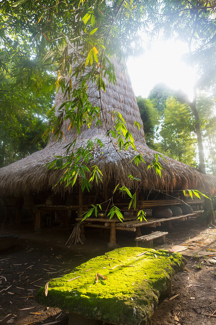 Trees around thatched Balinese hut, Ubud, Bali, Indonesia, Ubud, Bali, Indonesia