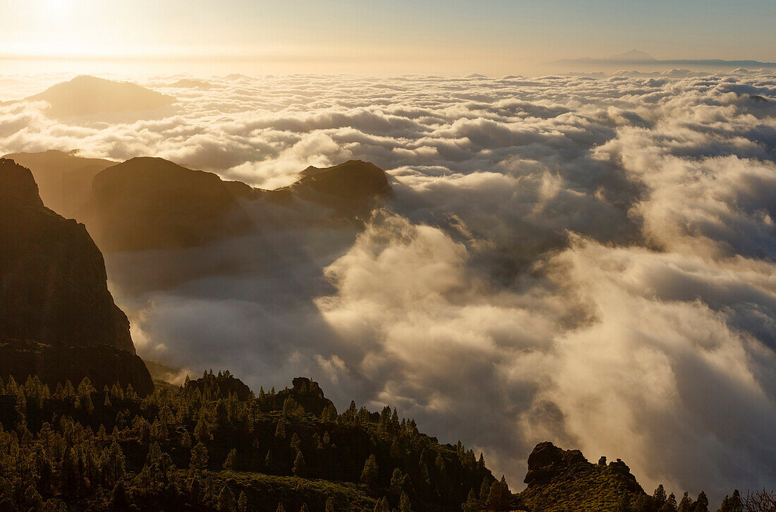view from Roque Nublo above the clouds, Parque Rural del Nublo, natural preserve, UNESCO Biosphere Reserve, near Tejeda, Gran Canaria, Canary Islands, Spain, Europe