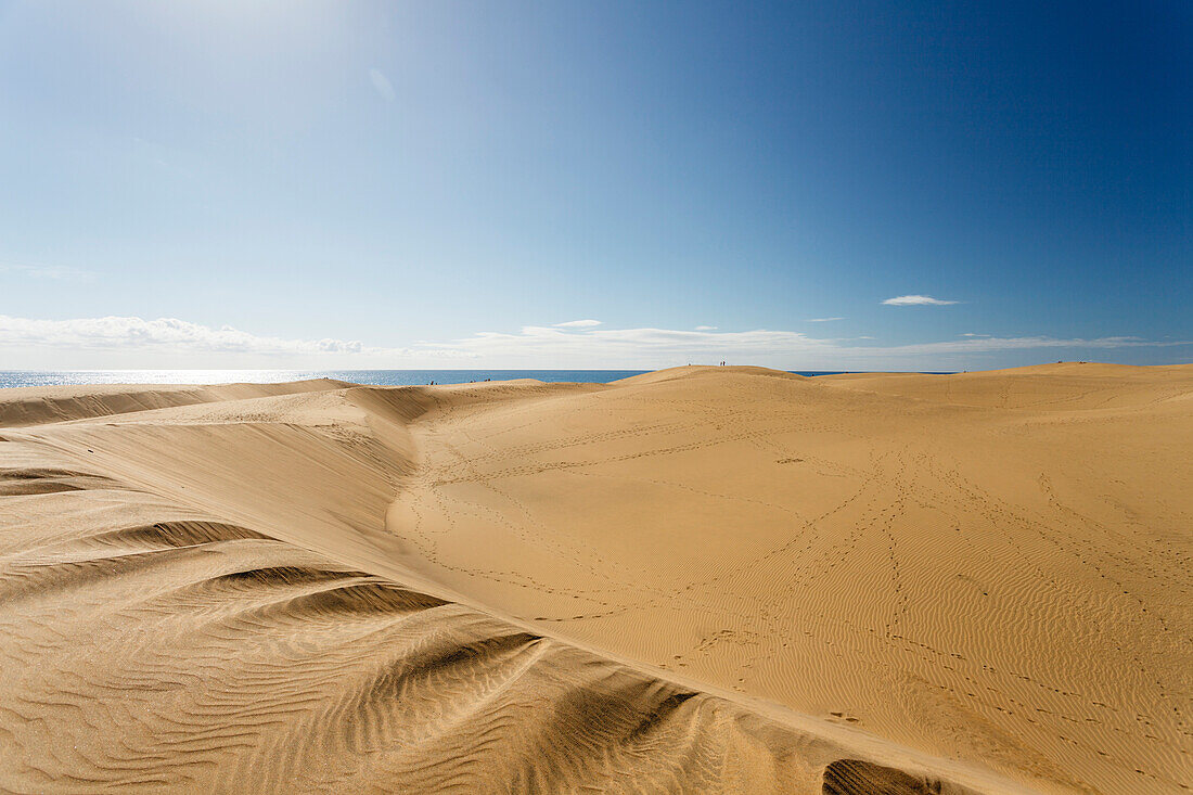 Dünen von Maspalomas, Dunas de Maspalomas, Naturschutzgebiet, Maspalomas, Gemeinde San Bartolomé de Tirajana, Gran Canaria, Kanarische Inseln, Spanien, Europa