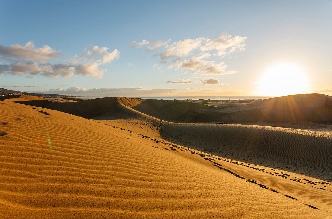 Dunes of Maspalomas, Dunas de Maspalomas, natural reserve, Maspalomas, municipality of San Bartolome de Tirajana, Gran Canaria, Canary Islands, Spain, Europe