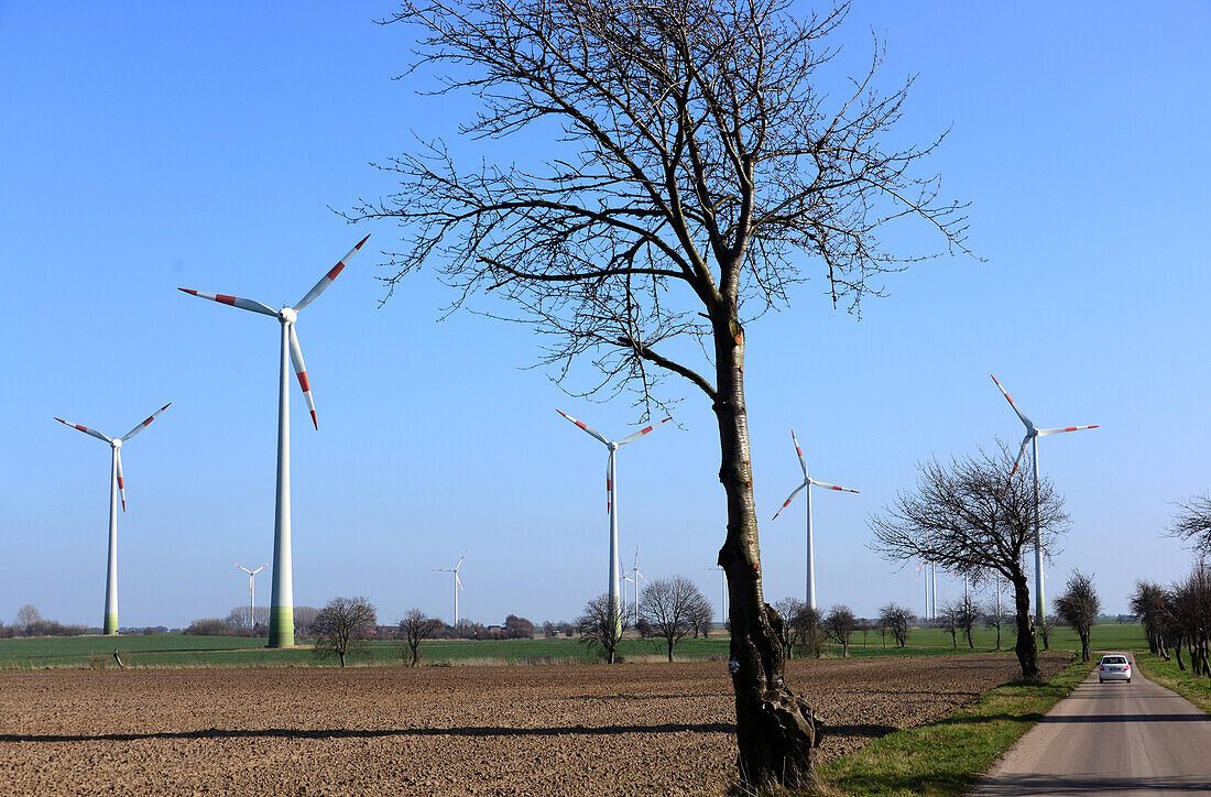Windräder westlich von Magdeburg an der A2, Sachsen-Anhalt, Deutschland