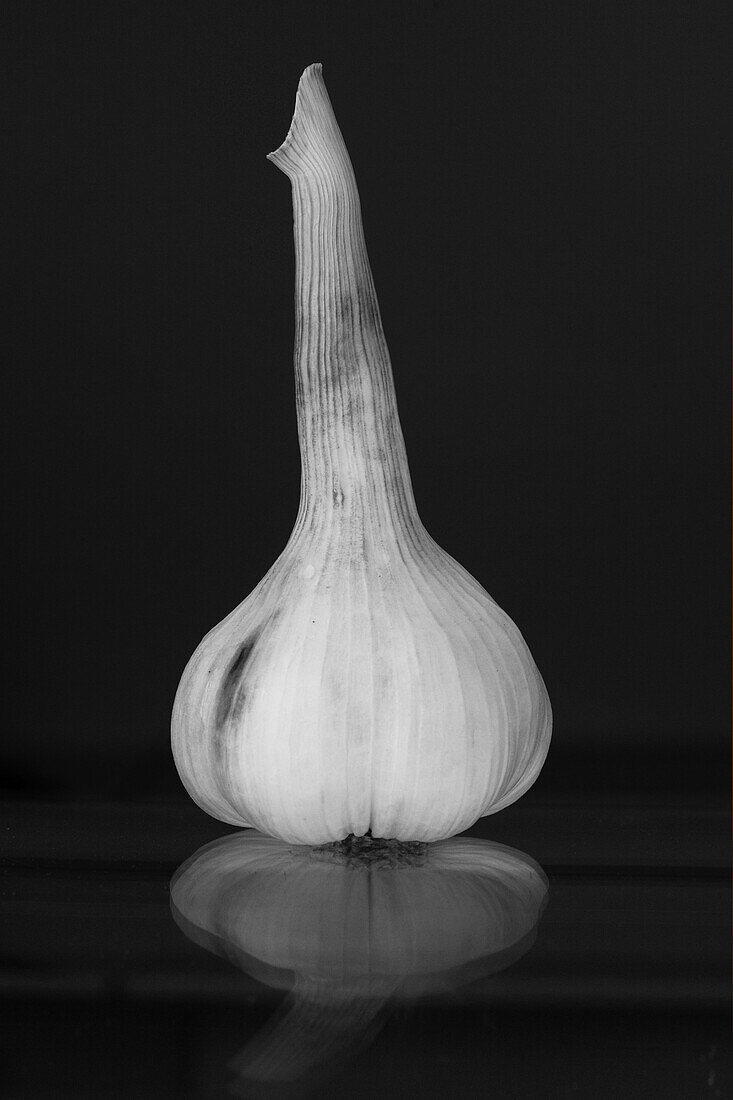 Close up of Garlic, Food, Germany