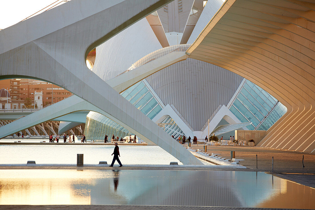 CAC. Architekt Santiago Calatrava, Ciudad de las Artes y de las Ciencias. Stadt der Künste und der Wissenschaften. Valencia. Comunidad Valenciana. Spanien.