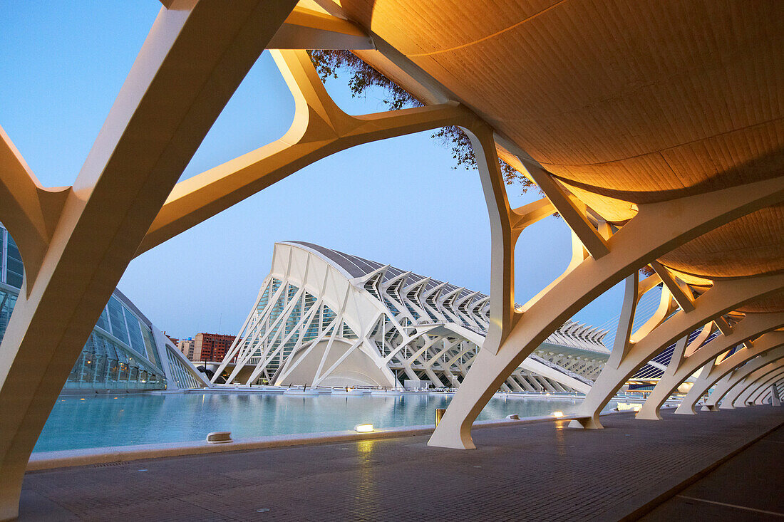 CAC. Architekt Santiago Calatrava, Ciudad de las Artes y de las Ciencias. Stadt der Künste und der Wissenschaften. Valencia. Comunidad Valenciana. Spanien.