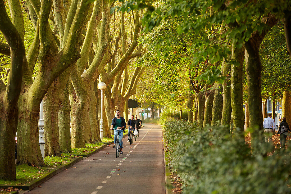 Bike lane, Paseo de Bizkaia, Donostia (San Sebastian), Basque Country, Spain