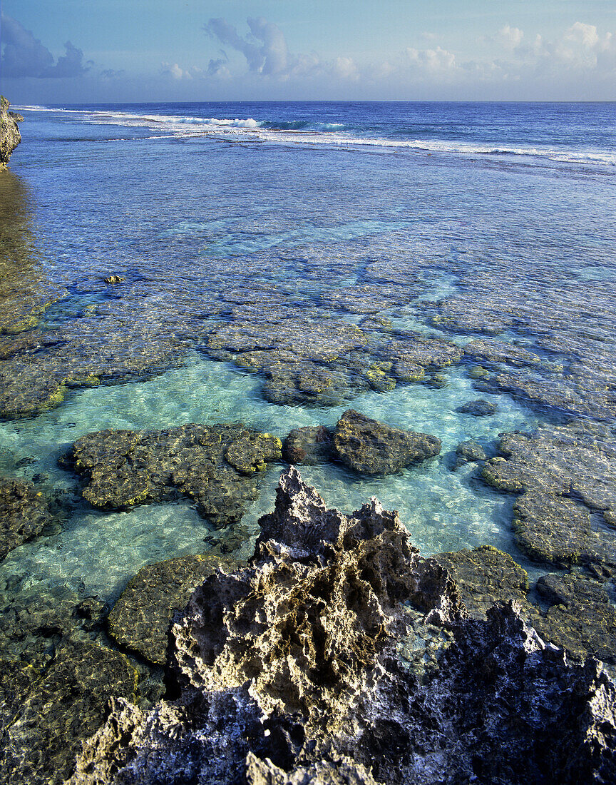Cook Islands, Atiu Island, Makatea fringed coast line.