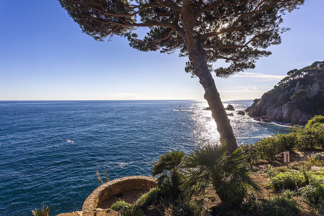 Mar i Murtra garden. Blanes. Spain.