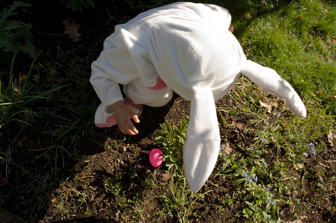 Young boy dressed as Easter bunny, high angle view