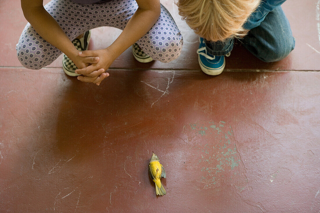 Two children looking at dead bird